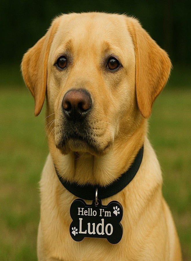 F Studio بطاقة تعريف للحيوانات الأليفة من F Studio، مصنوعة من الأكريليك المقاوم للماء على شكل عظمة، مناسبة لطوق الكلاب والقطط، خفيفة الوزن، مقاومة للصدأ، مع إمكانية نقش بطاقة التعريف (4 × 7 سم). - Image 1